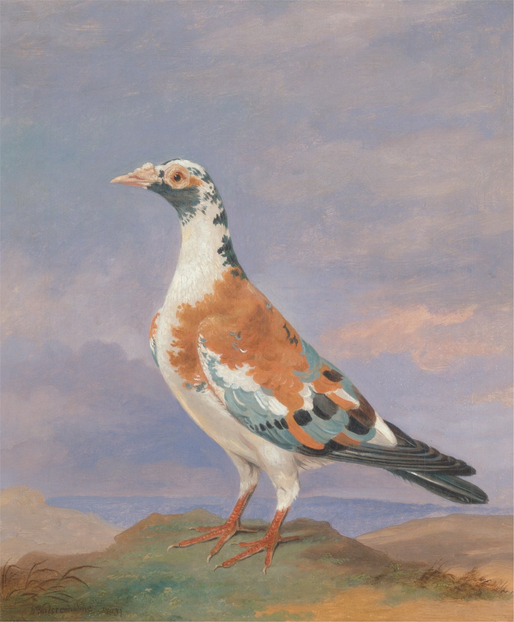Studies of carrier pigeon   1432940   ja       japanese Successfully Translated  Original: View in Oheitepeha Bay, Otaheite Translat: View in Oheitepeha Bay, Otaheite 1433722 ja japanese Successfully Translated Original: Studies of Donkeys Translat: Studie 作： ディーン・ウルステンホルム