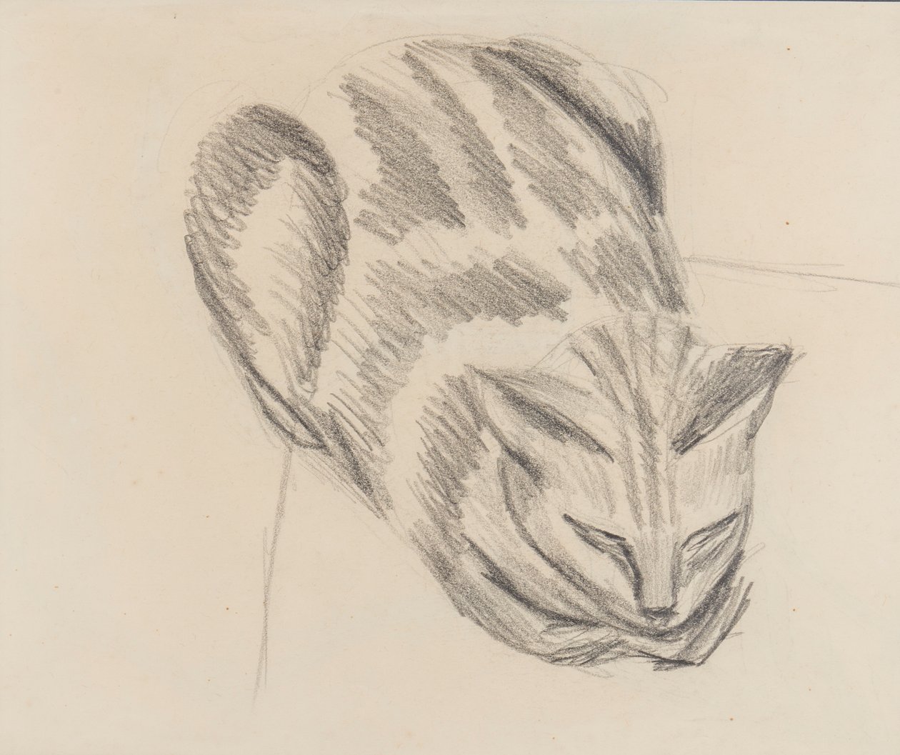 眠っている猫（紙に鉛筆） 作： デントンウェルチ