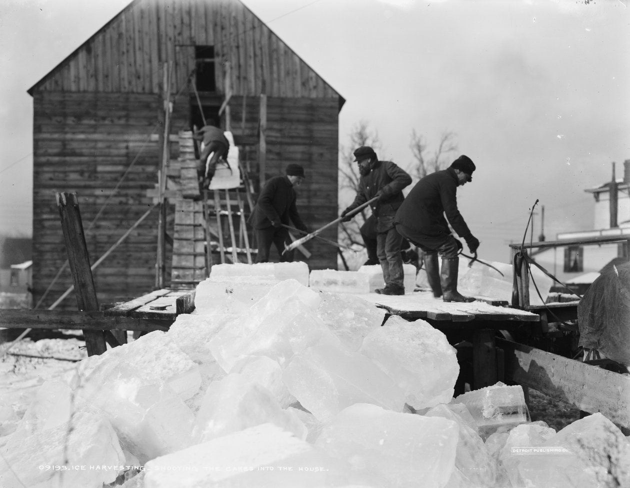 氷の収穫、家にケーキを撃つ、1903年頃 作： デトロイト出版株式会社