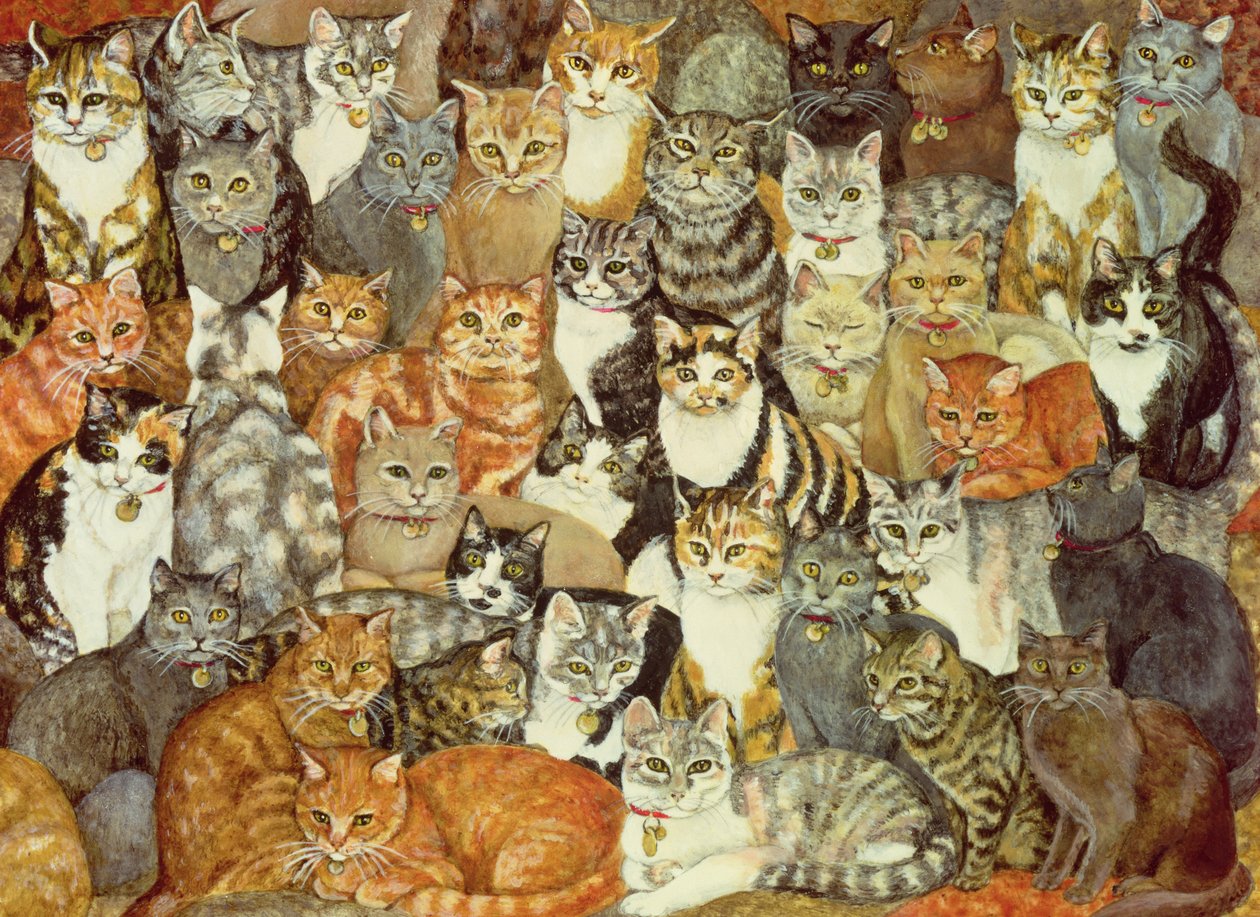 猫の広がり 作： ディッツ