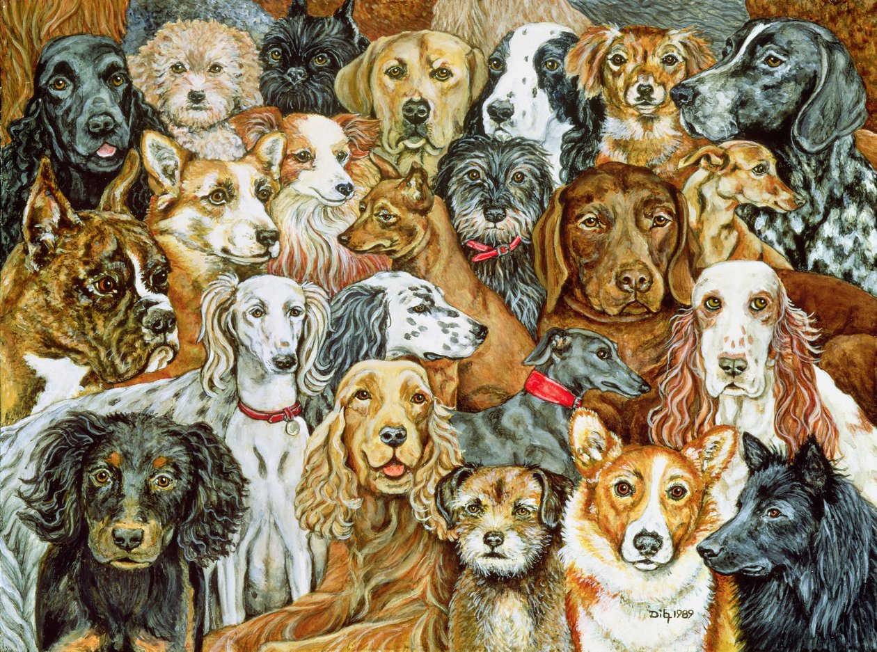 犬の広がり、1989 作： ディッツ