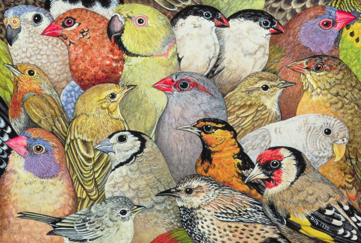 Patchwork-Birds、1995（パネルにアクリル） 作： ディッツ