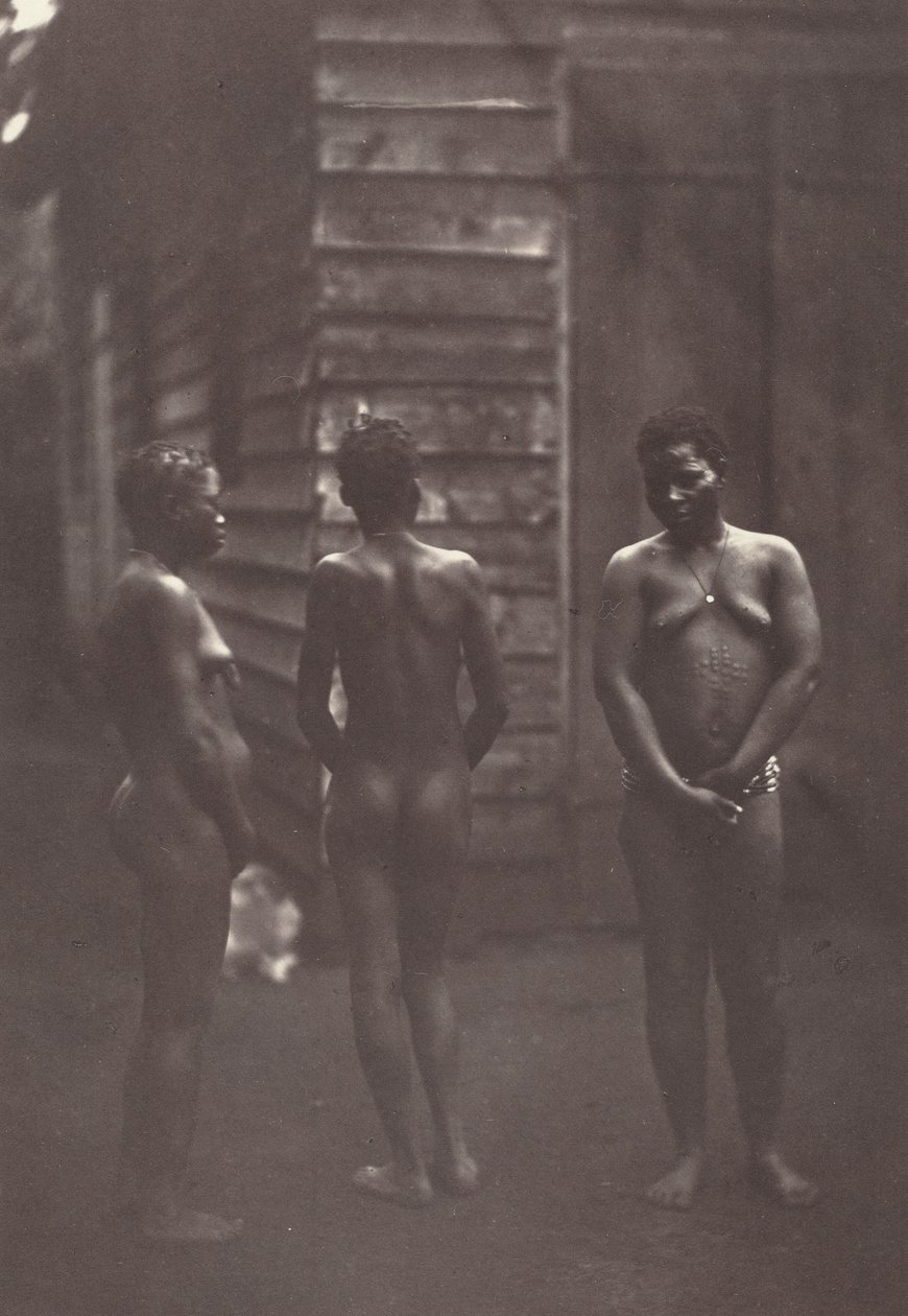 3人のマダガスカル女性（プレート30）1863年（写真） 作： デジレ・シャルネー