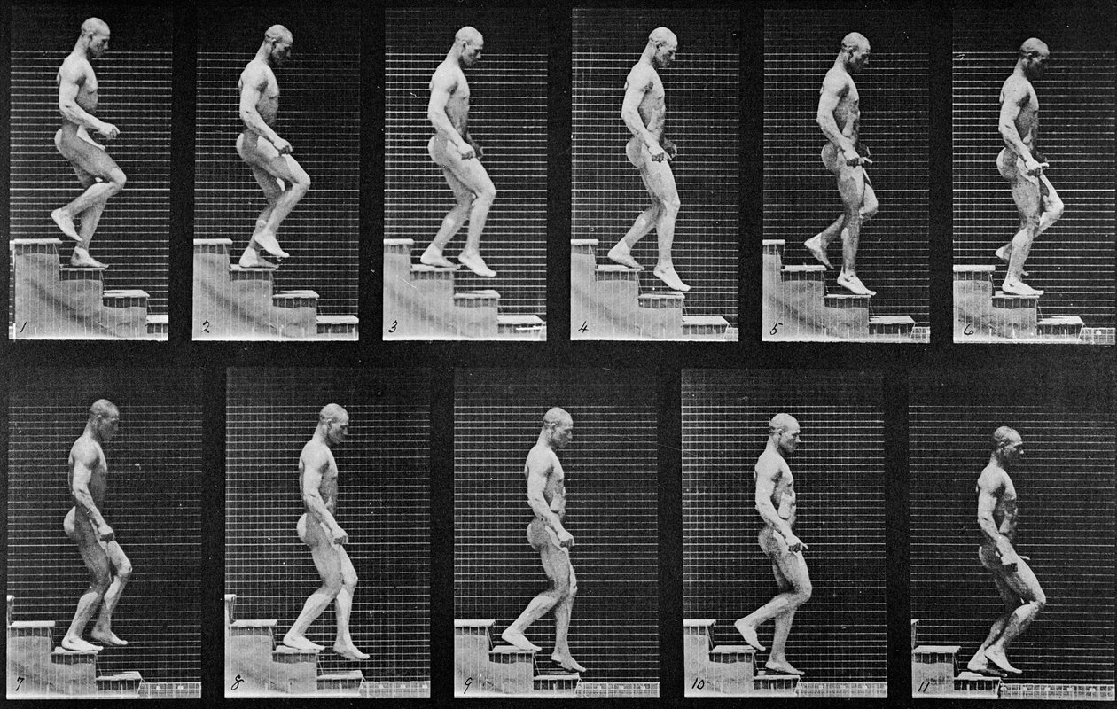 「動物の移動」からの階段を下る男、1887年 作： エドワード・マイブリッジ