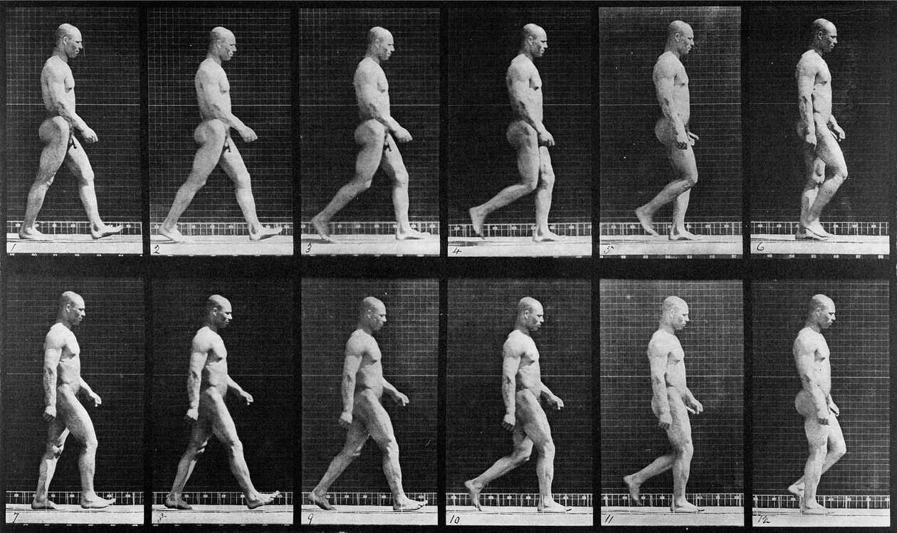 「動物の移動」、1887年から歩く男 作： エドワード・マイブリッジ