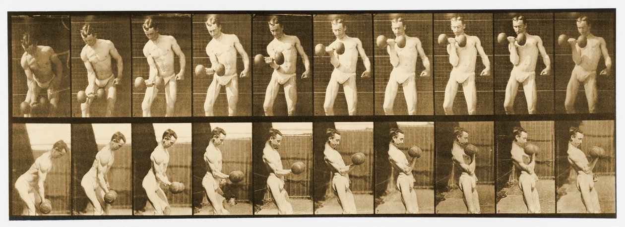 「動物の移動」シリーズ、1887年頃の画像 作： エドワード・マイブリッジ