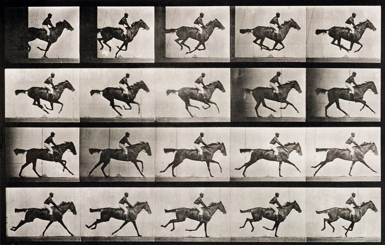 疾走する馬の騎手、「動物の移動」からのプレート627、1887 作： エドワード・マイブリッジ