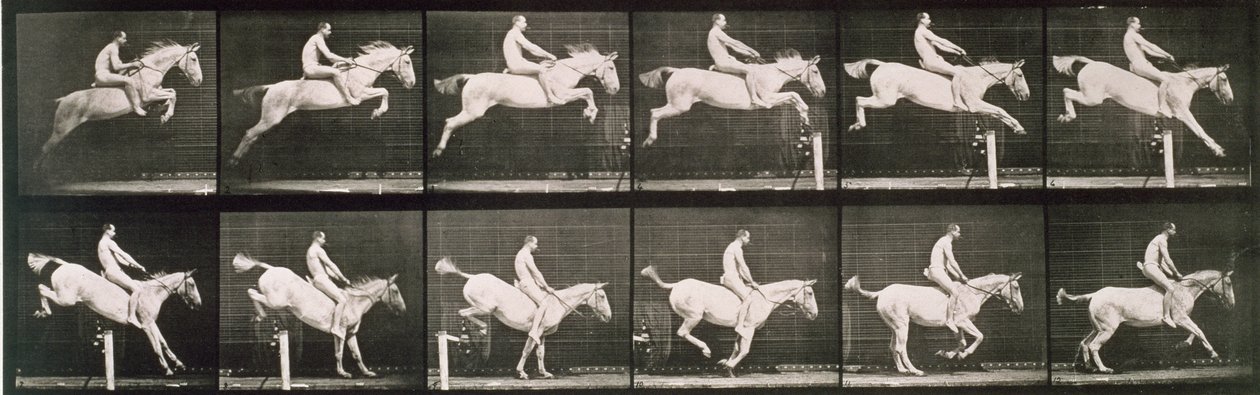 男と馬がフェンスをジャンプ、1887年の「Animal Locomotion」からのプレート643 作： エドワード・マイブリッジ