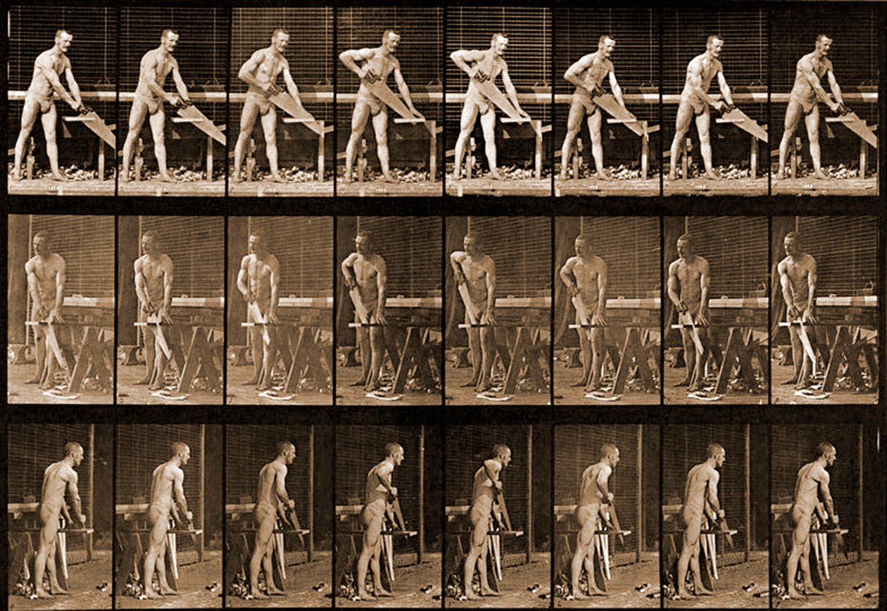 「動物の移動」シリーズ、1881年頃から見た男 作： エドワード・マイブリッジ