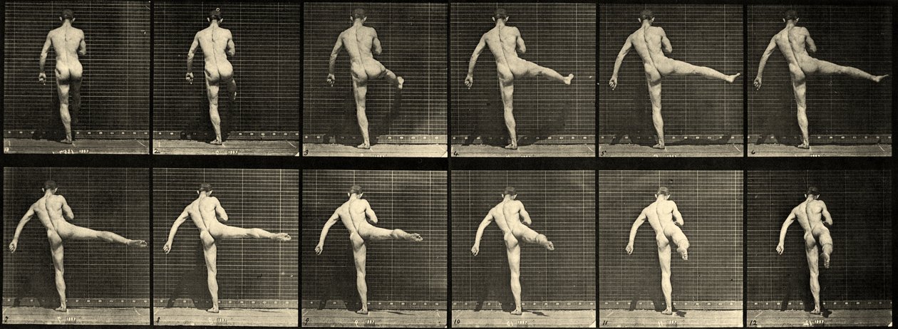 裸の男性バレエダンサー、最初のバレエアクション、右脚を持ち上げる（プレート369）c.1887 作： エドワード・マイブリッジ