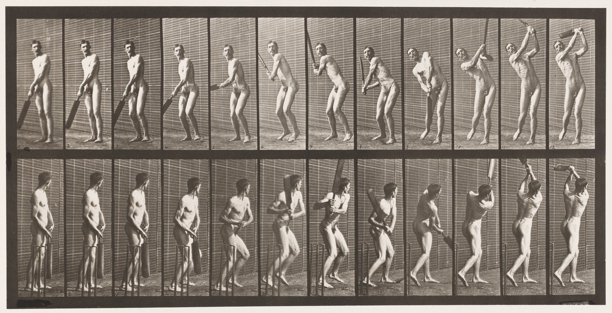 プレート291.クリケット;バッティング;ドライブ、1885 作： エドワード・マイブリッジ