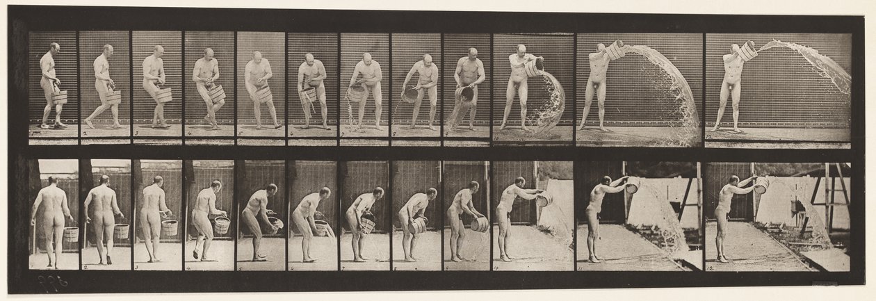 プレート399。バケットの水を空にする、1872〜1885 作： エドワード・マイブリッジ