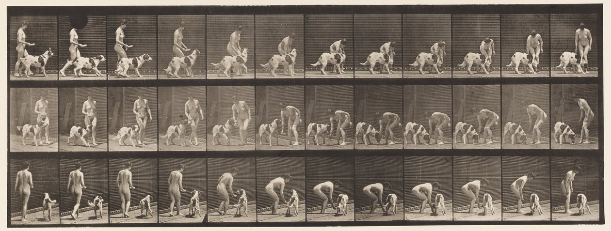 プレート449。犬に餌をやる 作： エドワード・マイブリッジ