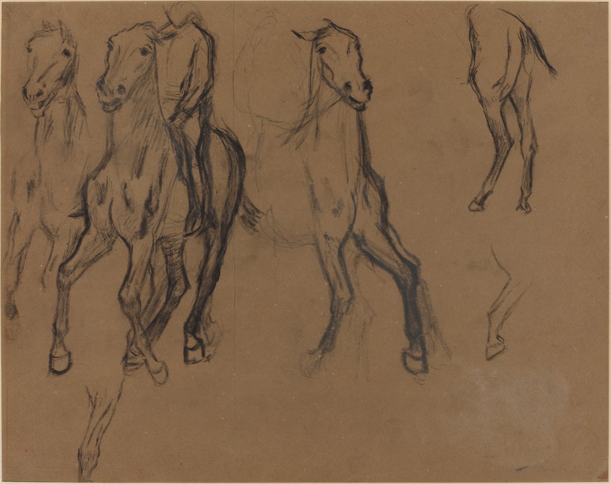 馬の研究、c。 1886年。 作： エドガー・ドガ