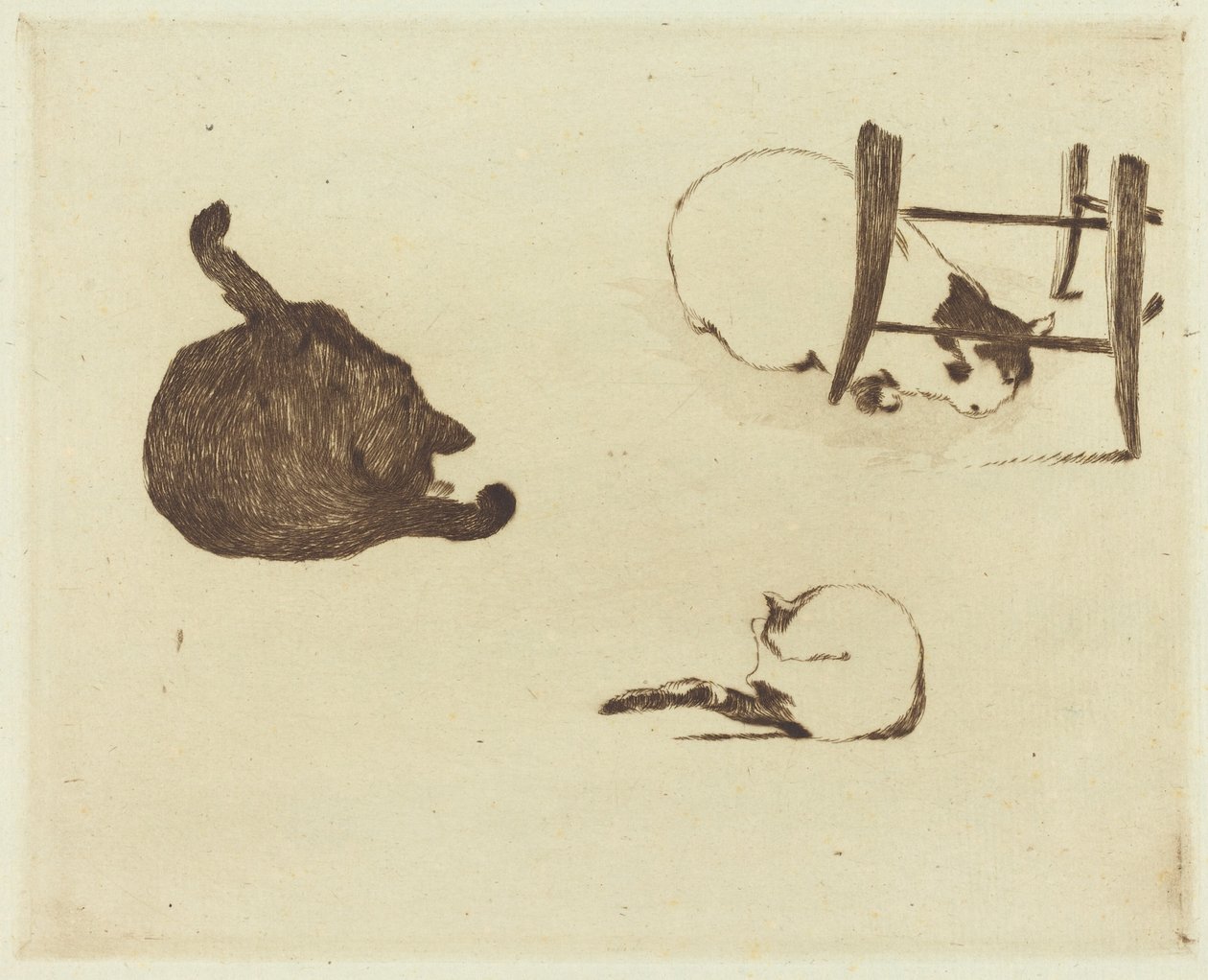 キャッツ レ チャット、1869 年。 作： エドゥアールマネ