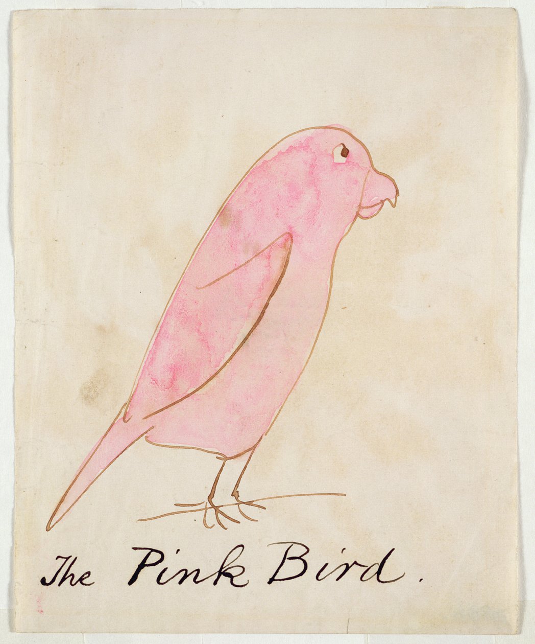 コミックバードの16枚の絵からのピンクの鳥（ペンとインクと紙のトイレ） 作： エドワード・リア