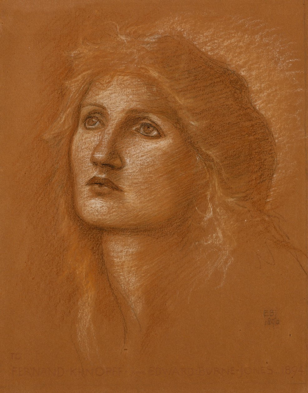 女性の頭、1890 作： エドワード・バーン・ジョーンズ