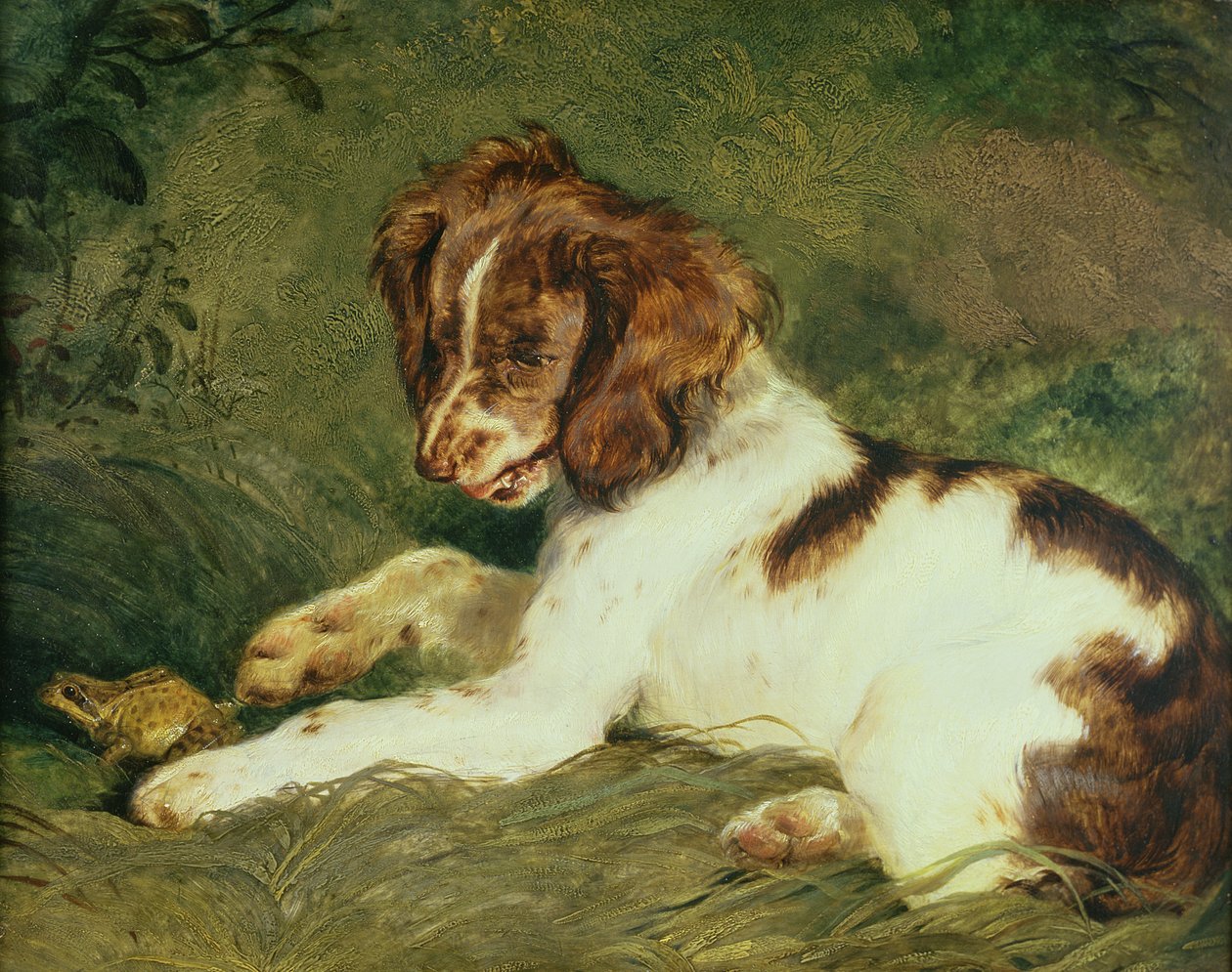 カエルをからかう子犬、1824年（パネル） 作： エドウィン・ランドシーア
