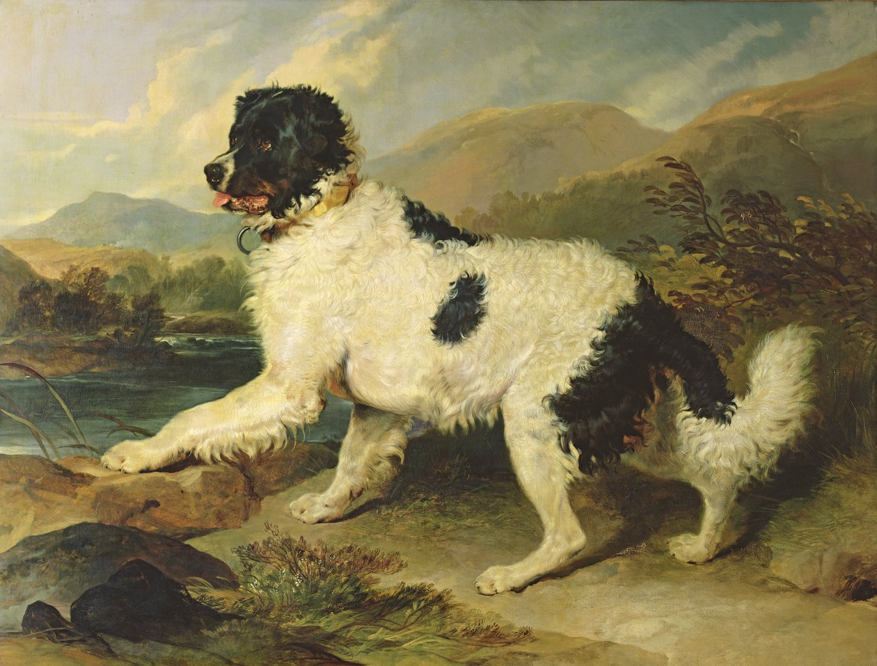 ライオンと呼ばれるニューファンドランド犬、1824年 作： エドウィン・ランドシーア