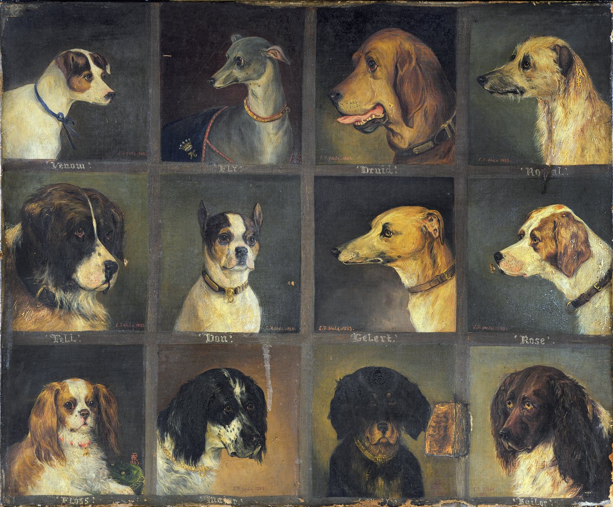 12匹の好きな犬、1883年 作： エドウィン・フレデリック・ホルト
