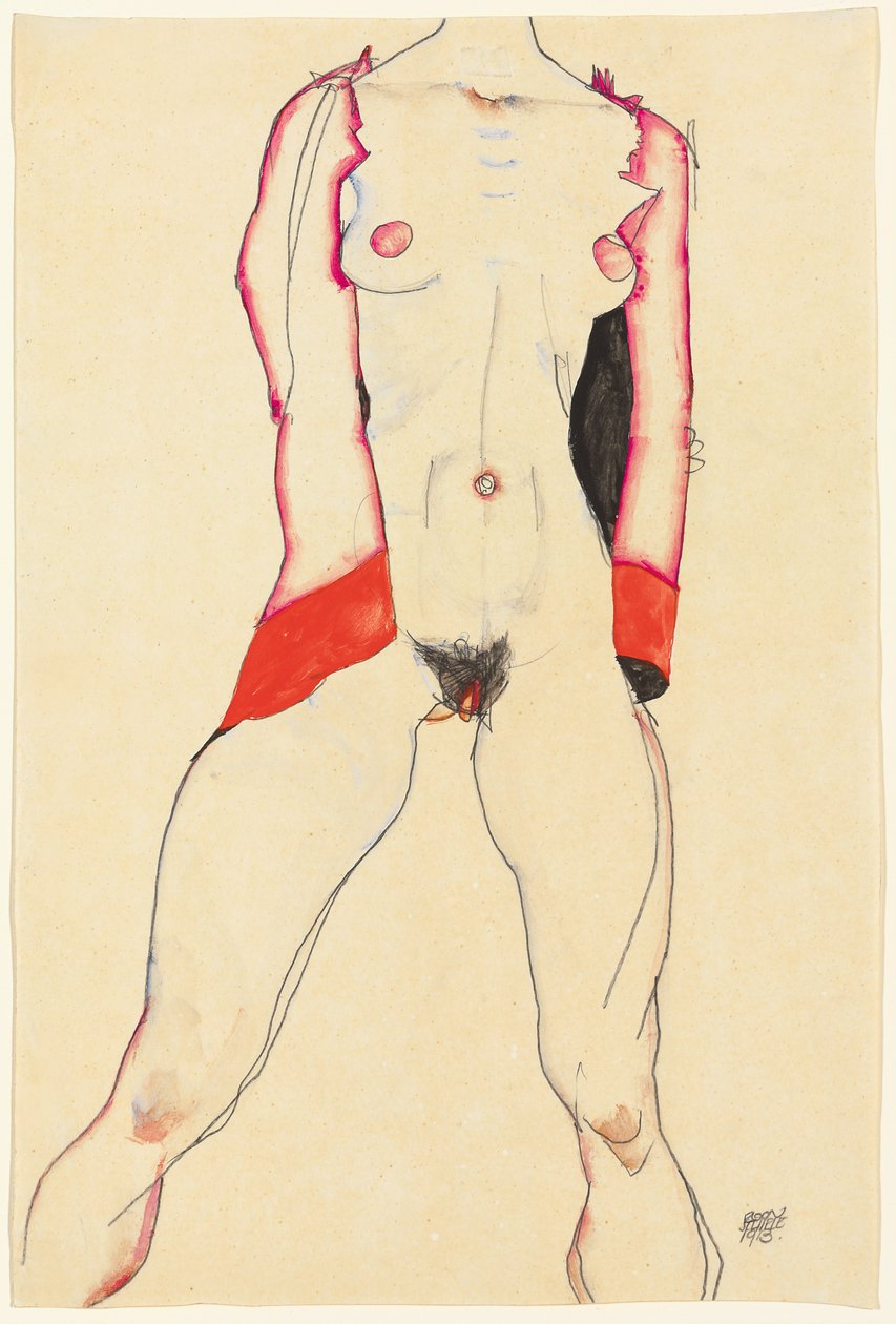 女性の胴;女性の胴、1913 作： エゴンシーレ