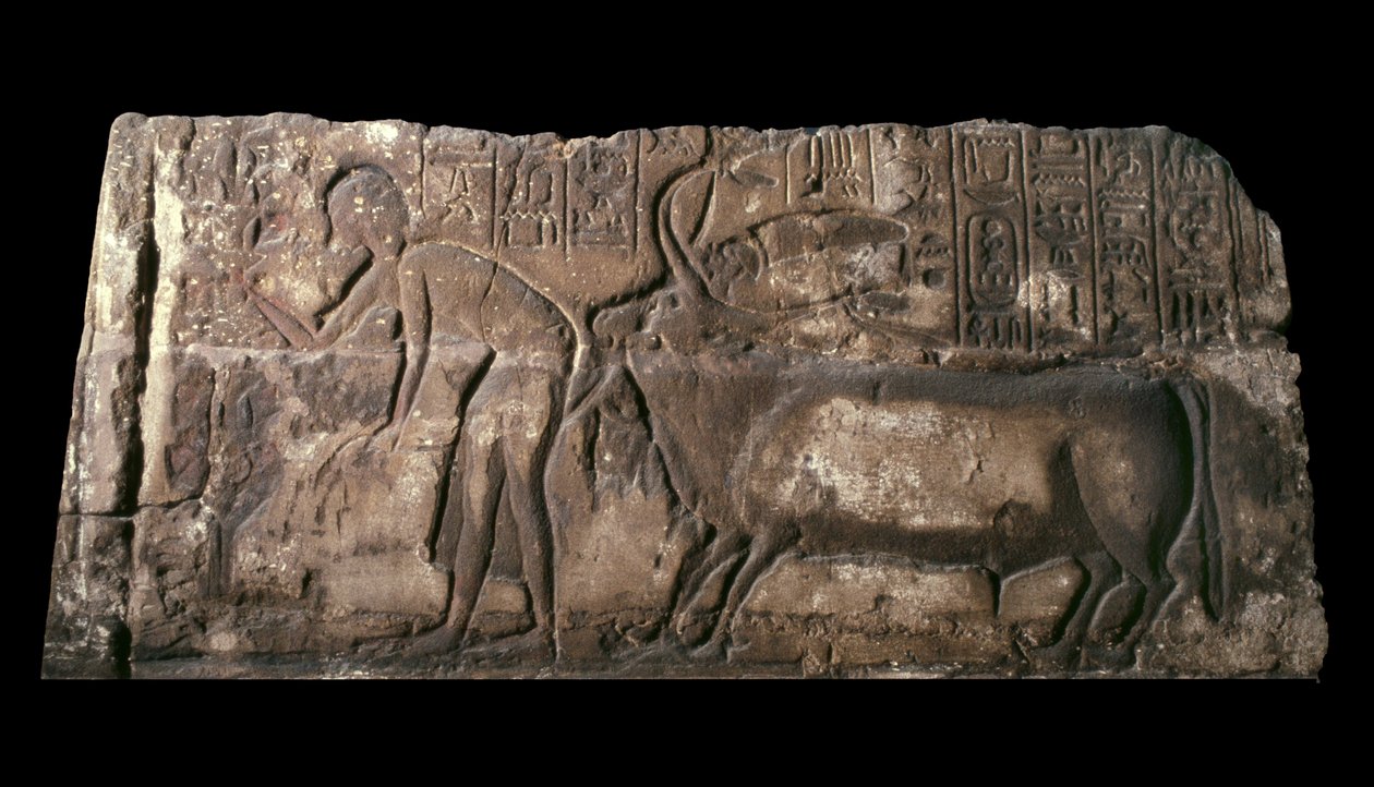 サテパテンカイを犠牲にした雄牛を描いた砂岩ブロック、紀元前1333年〜23年の砂岩 作： エジプト第18王朝