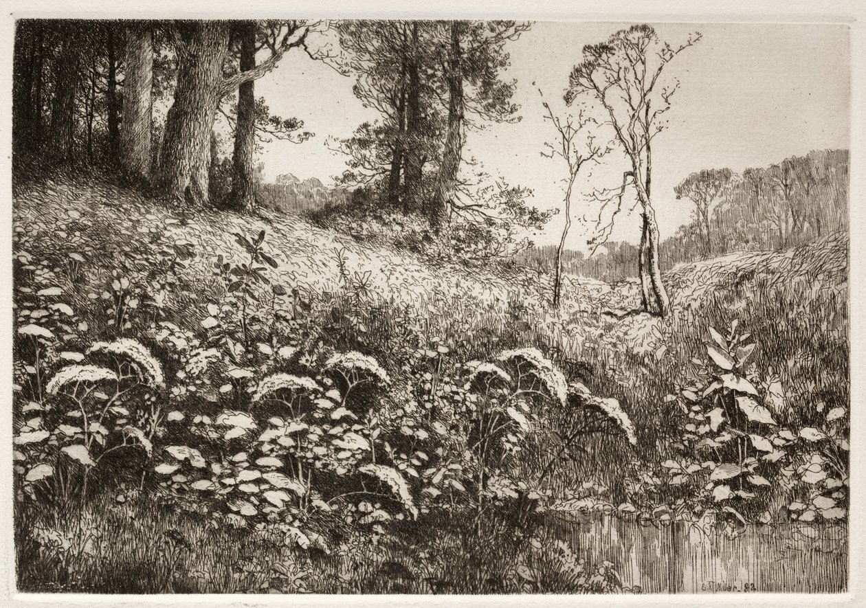 夏の午後、1882 年。 作： エリスF.ミラー
