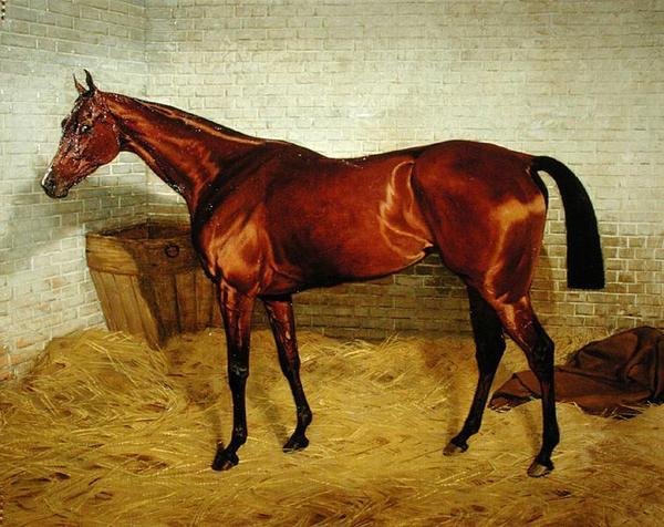 1885年のダービーを制した「ロンリー 作： エミール・アダム
