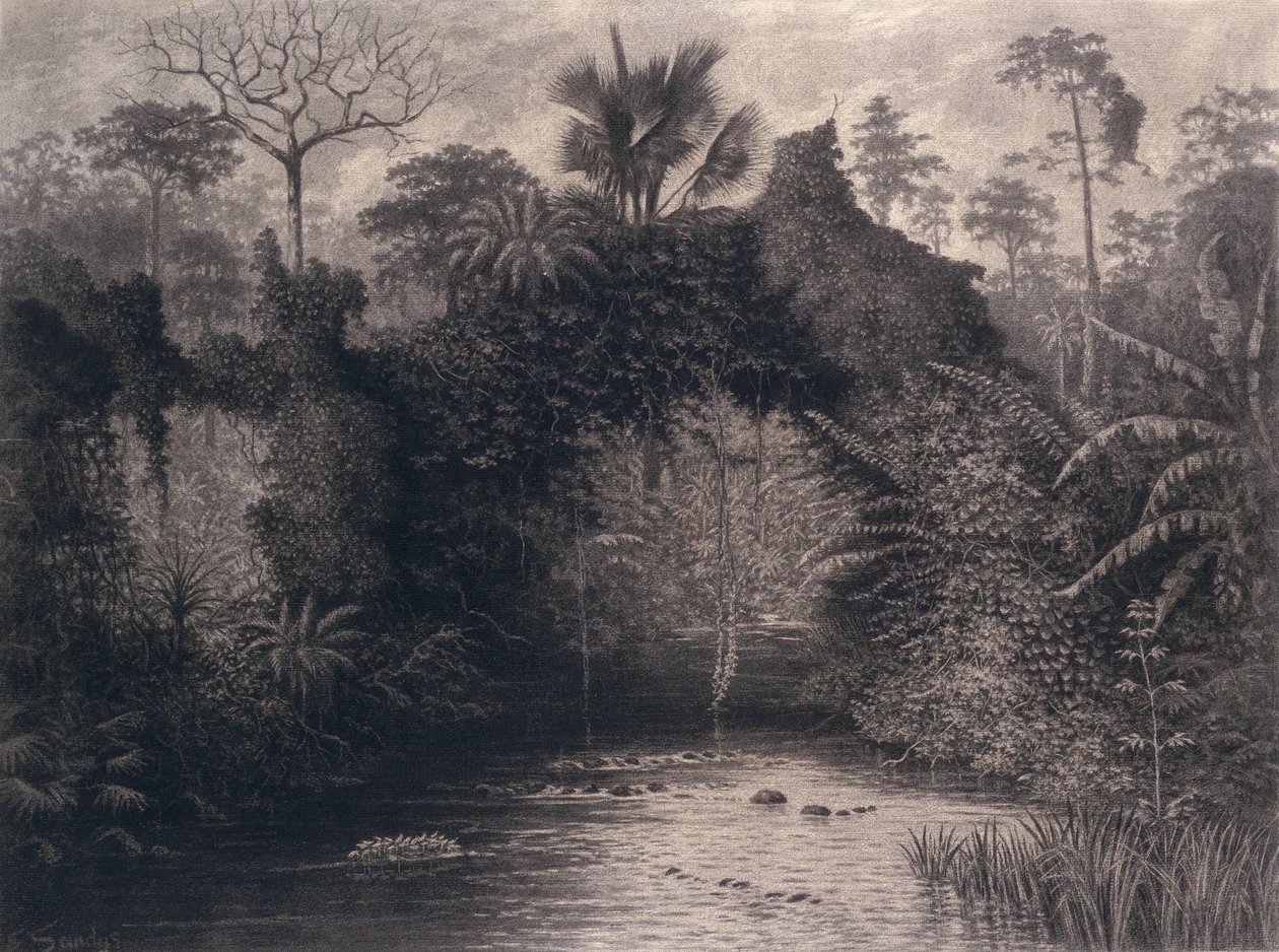 西アフリカのビアフラ湾の眺め、1877年（紙に木炭） 作： エマ・サンディ