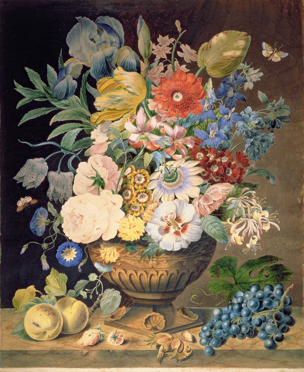花と果実、1828（紙にトイレ） 作： エマ・シレット