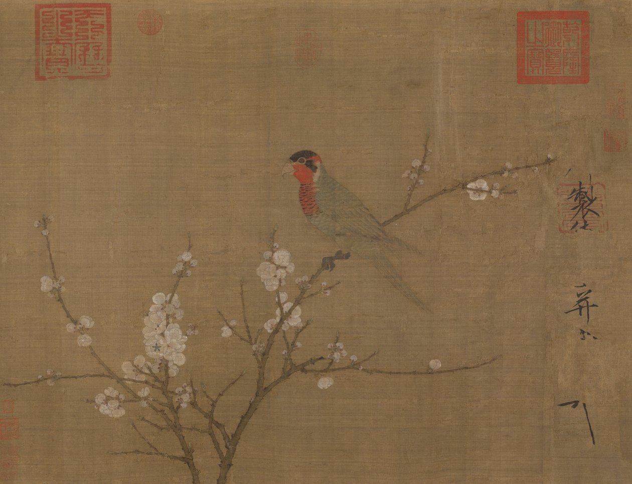 開花アプリコットの木の5色のインコ 作： Hu宗皇帝