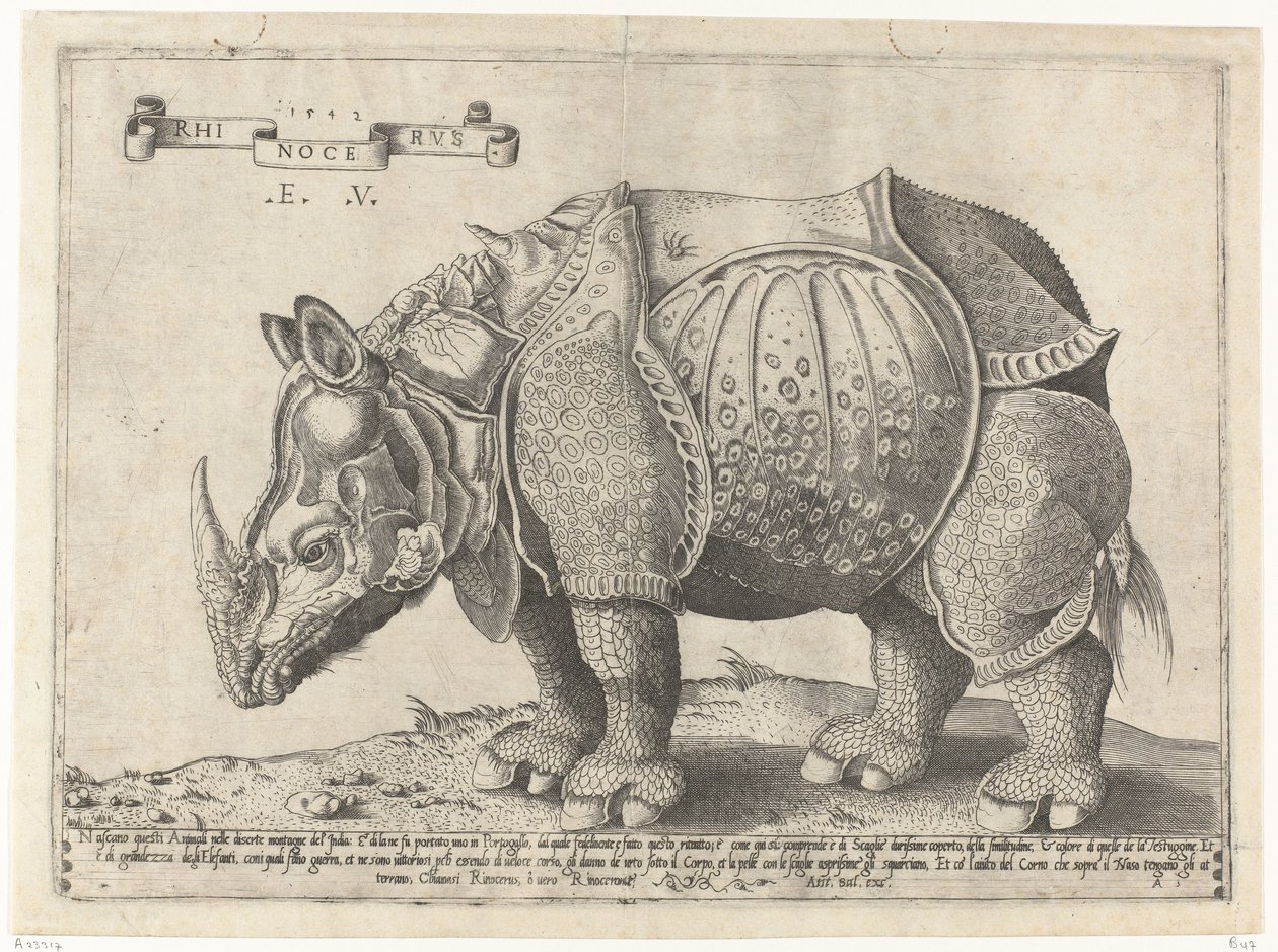 ノイショールン Rhinocerus (オブジェクトのタイトル) 作： エネア・ビコ