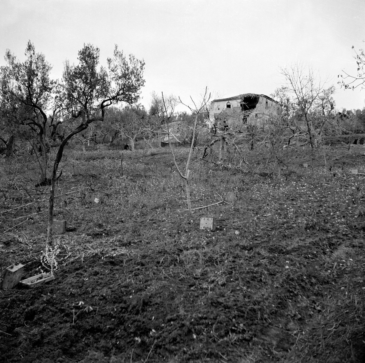 1944年頃、リコールリッジの頂上近くにあるマインフィールド 作： 英語の写真家