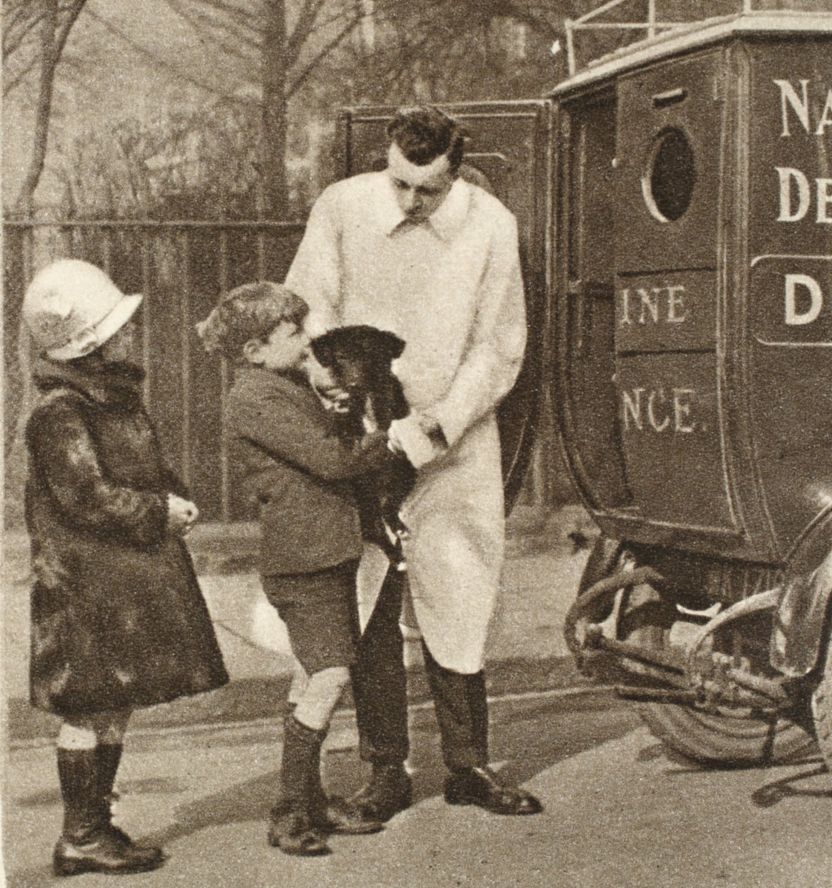 1926-27年に発行されたWonderful LondonのThe Peoples Dispensary for Sick AnimalsのFulham支部の獣医が1926-27年に公開（グラビア） 作： 英語の写真家