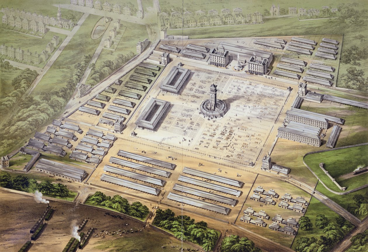 新しいメトロポリタン牛市場の等角図、1855 作： 英語学校