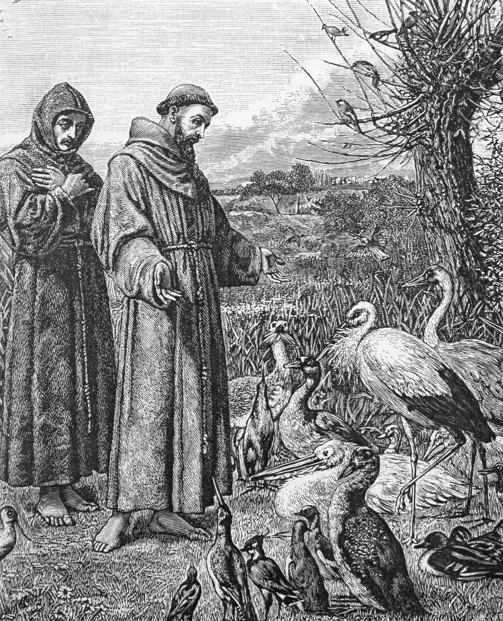 アッシジの聖フランシス（1182-1226） 作： 英語学校