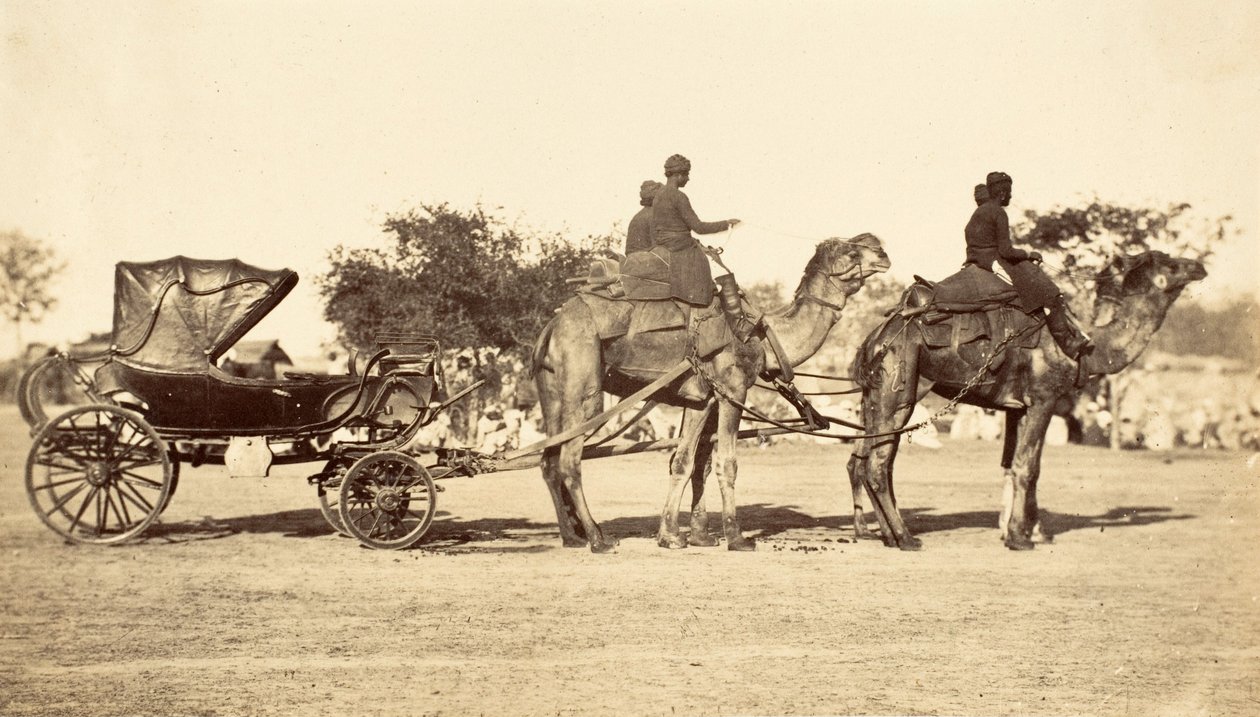 ラクダの馬車、1860年頃（写真製版 作： 英語の写真家
