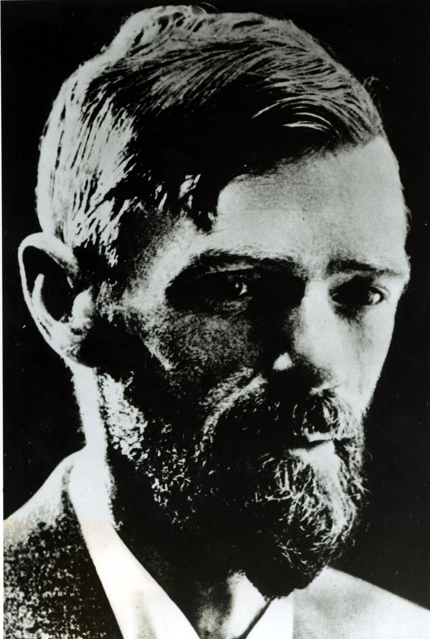 デビッド・ハーバート・ローレンス（1885-1930） 作： 英語の写真家