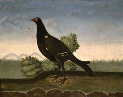 クロライチョウ（油彩・キャンバス） 作： 英語学校