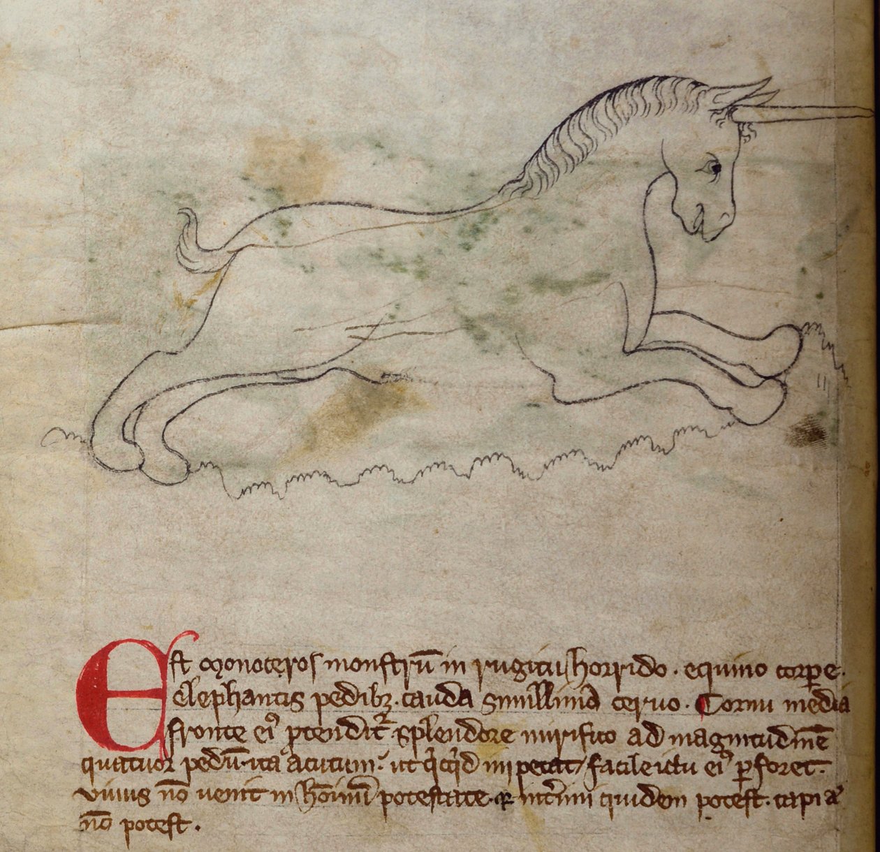CCA-LitMs - D - 10fol。 2vモノセロス、Bestiaryから 作： 英語学校