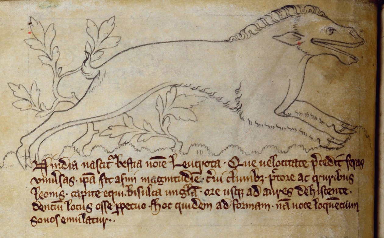 CCA-LitMs - D - 10fol。 3v Leucrota、Bestiaryから 作： 英語学校