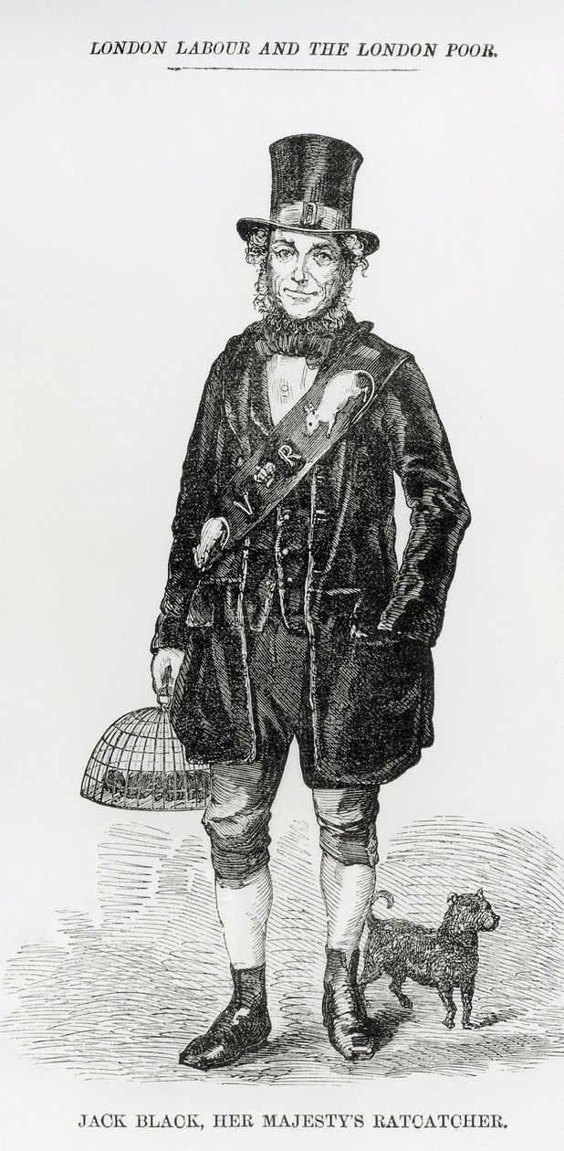 ジャックブラック、女王陛下のラッチャー、c.1840 作： 英語学校
