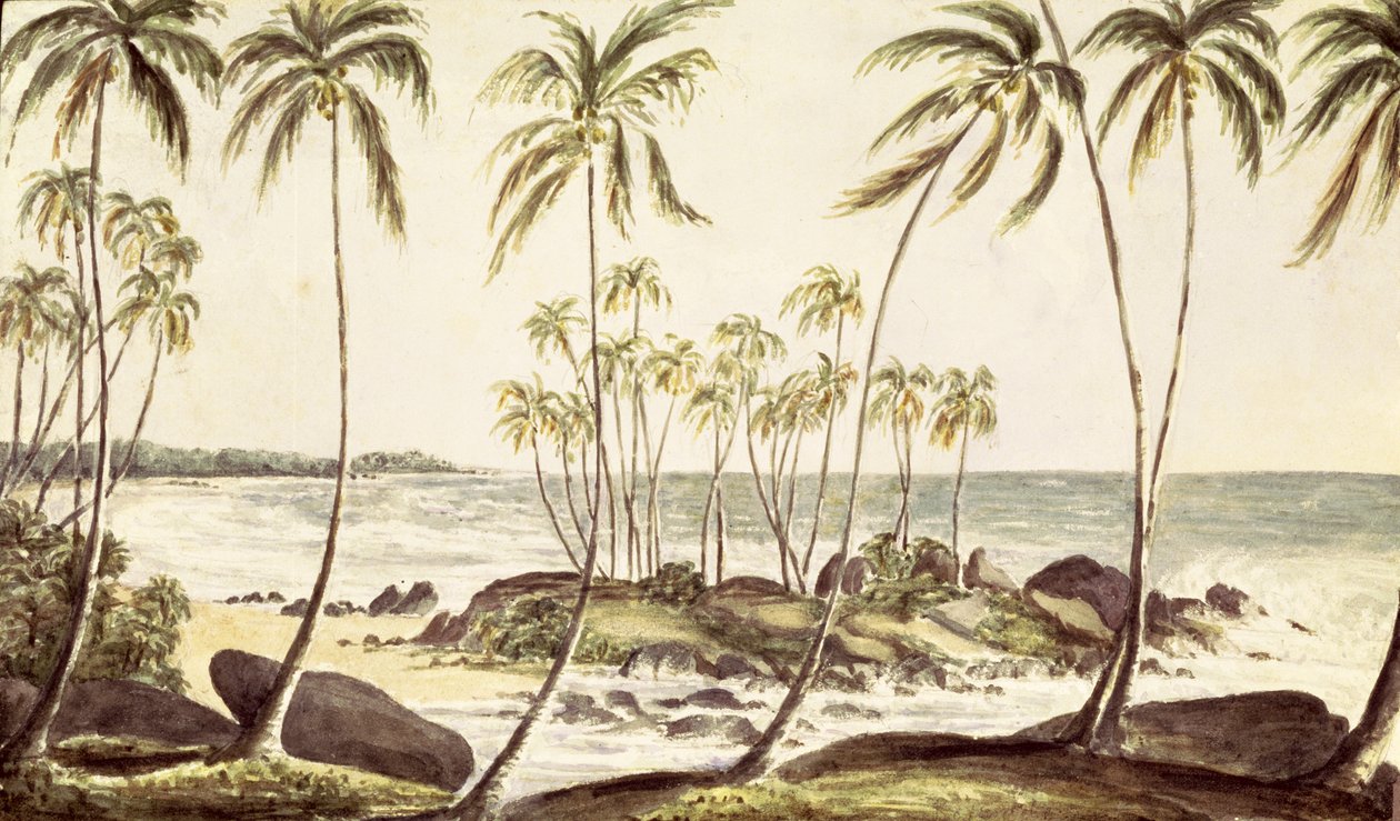 コスゴダビーチ、セイロン、1835年頃（紙にトイレ） 作： 英語学校