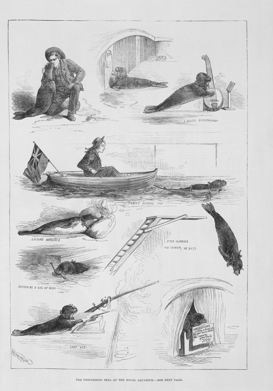 王立水族館で封印を行う 作： 英語学校
