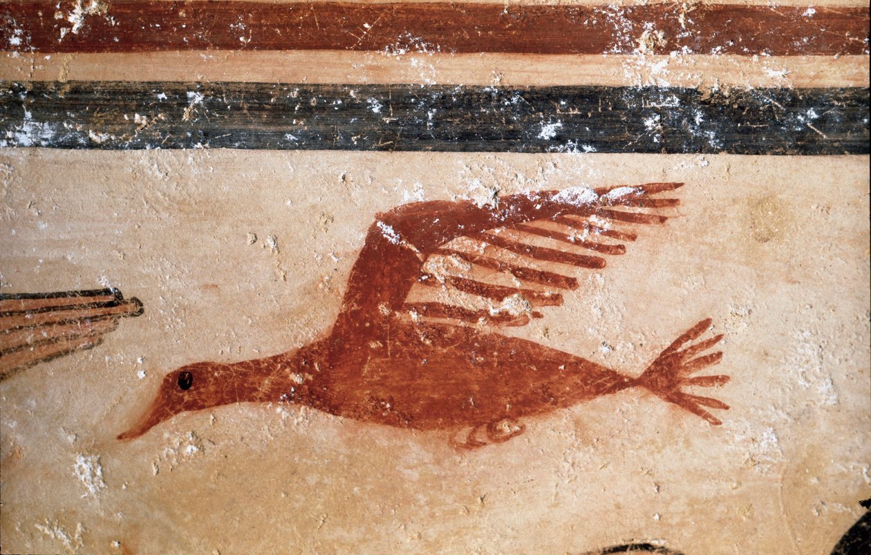 一羽の鳥(フレスコ画の詳細、紀元前530年) 作： エトルリア語