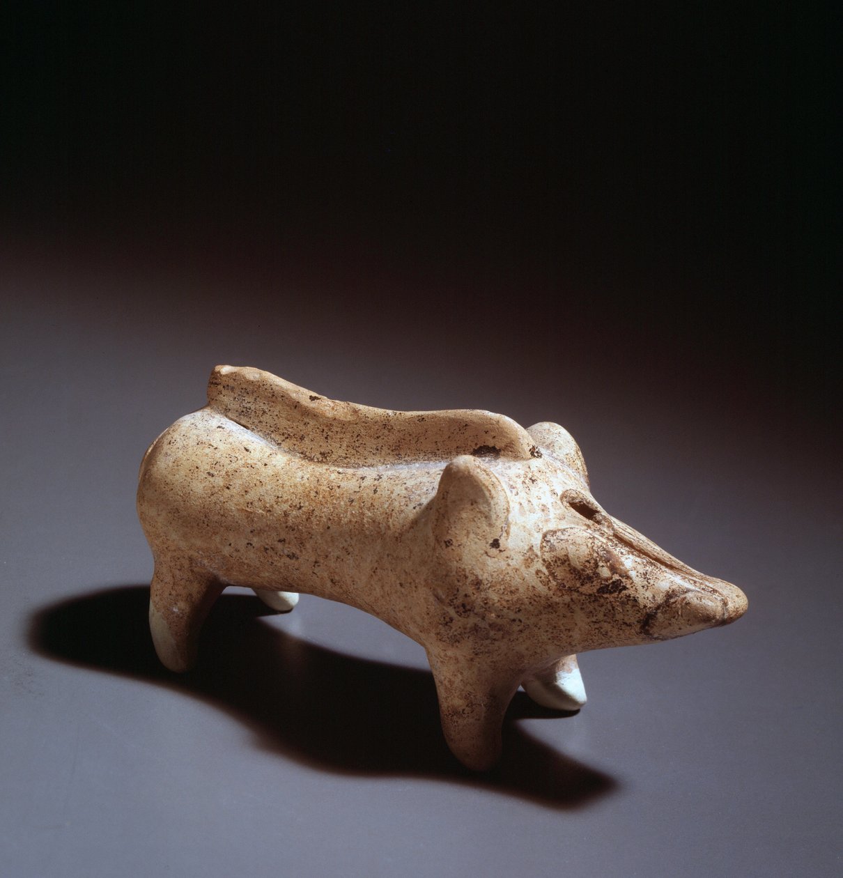 豚の形をした陶器のウンゲンタリウム、紀元前580～560年 作： エトルリア語