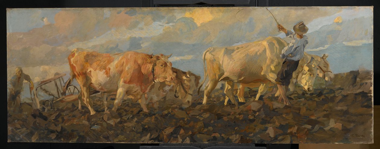 Oxen Ploughing、1911（リネンの油） 作： エットレ・ティト