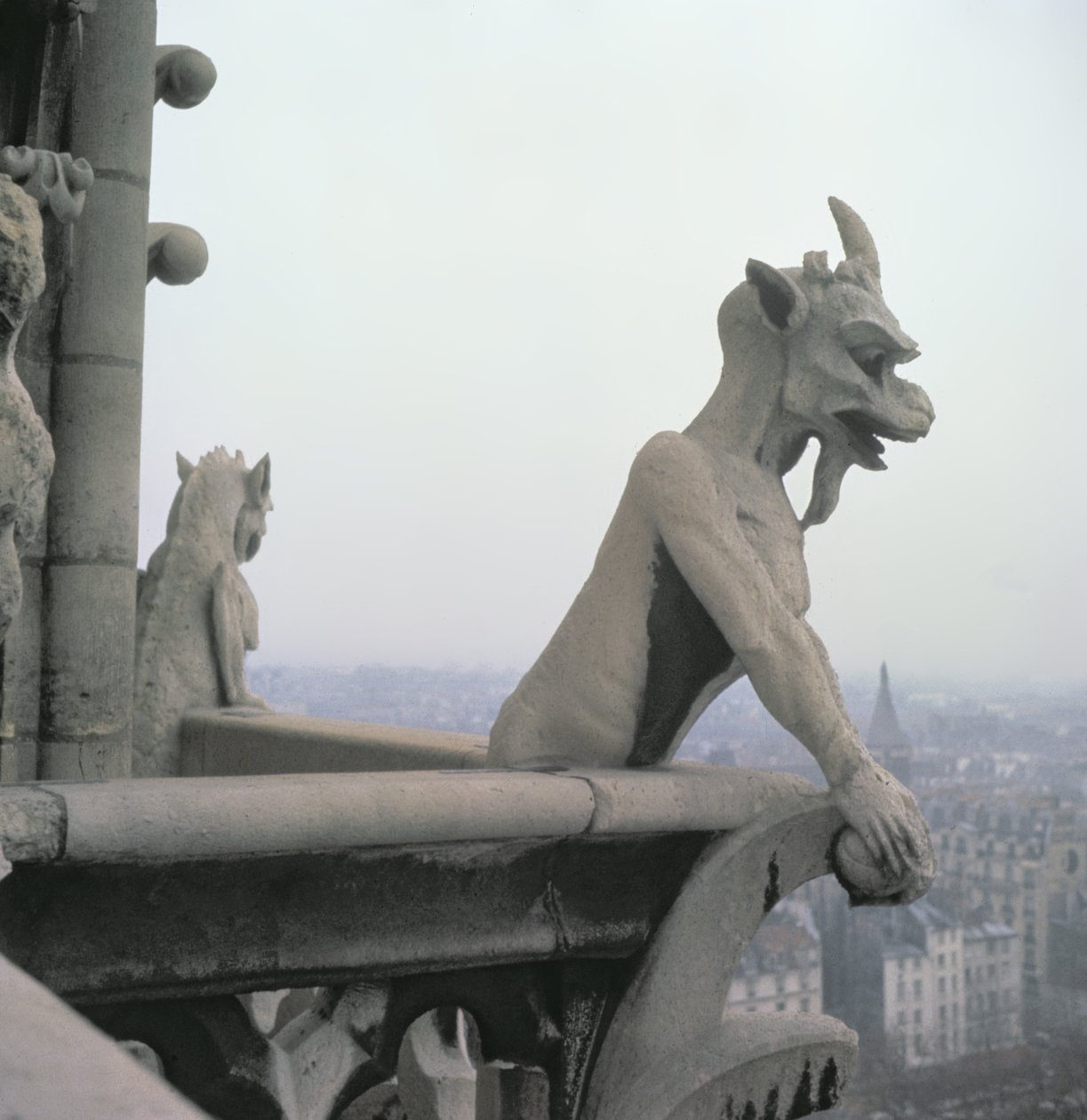 12世紀のオリジナルのレプリカである、Grande Galerieの欄干からのガーゴイル 作： Eugene Emmanuel Viollet le Duc