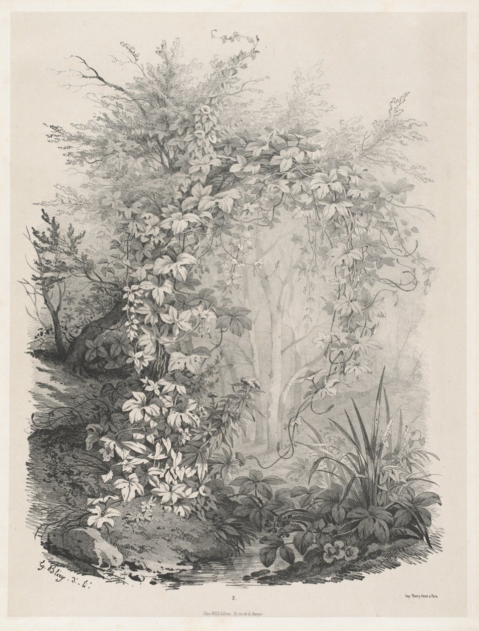 小川のそばの植物とアイビー、18481849。 作： ユージン・ブレリー