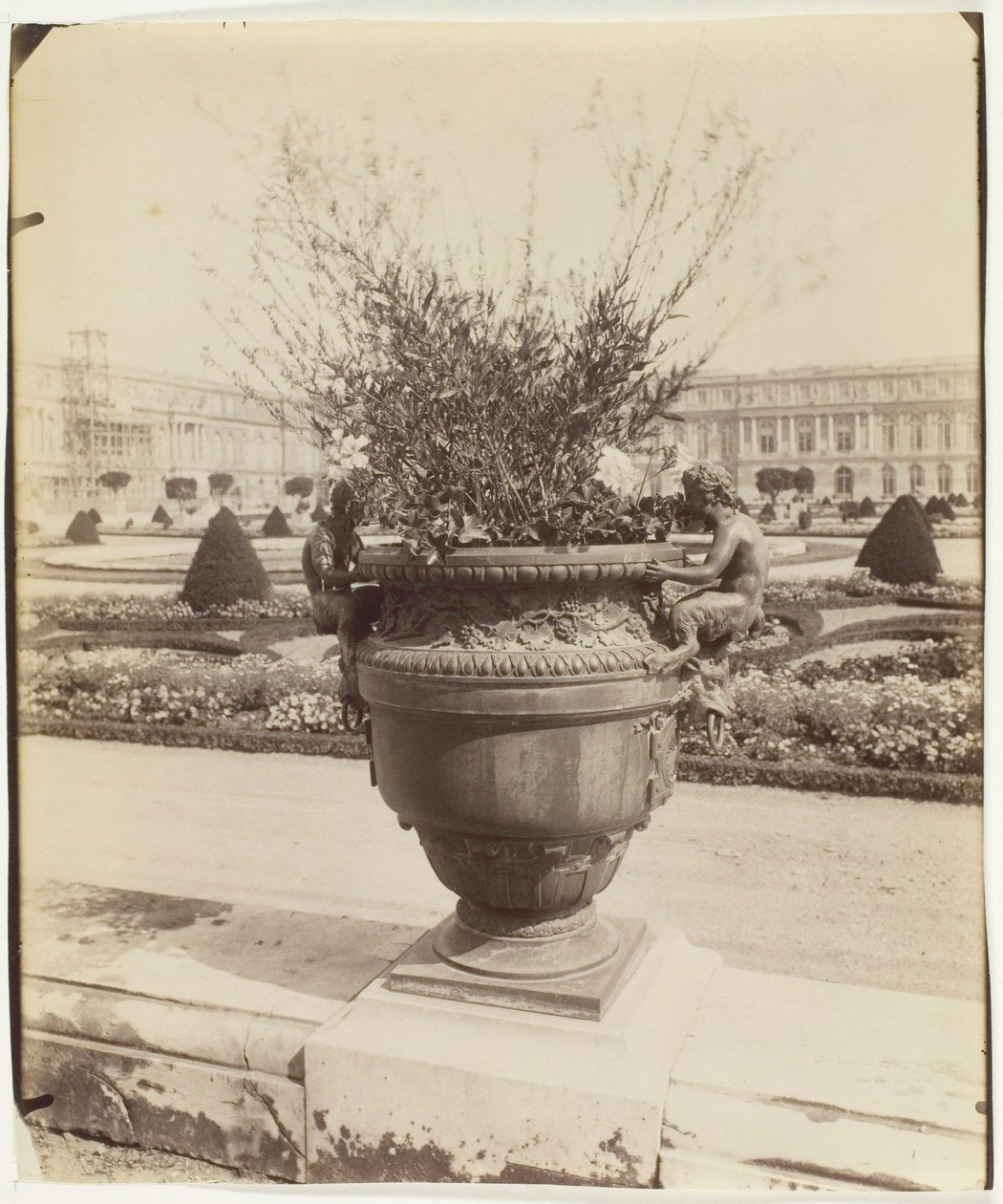 ベルサイユ、バリンの花瓶、1902 年。 作： ウジェーヌ・アジェ